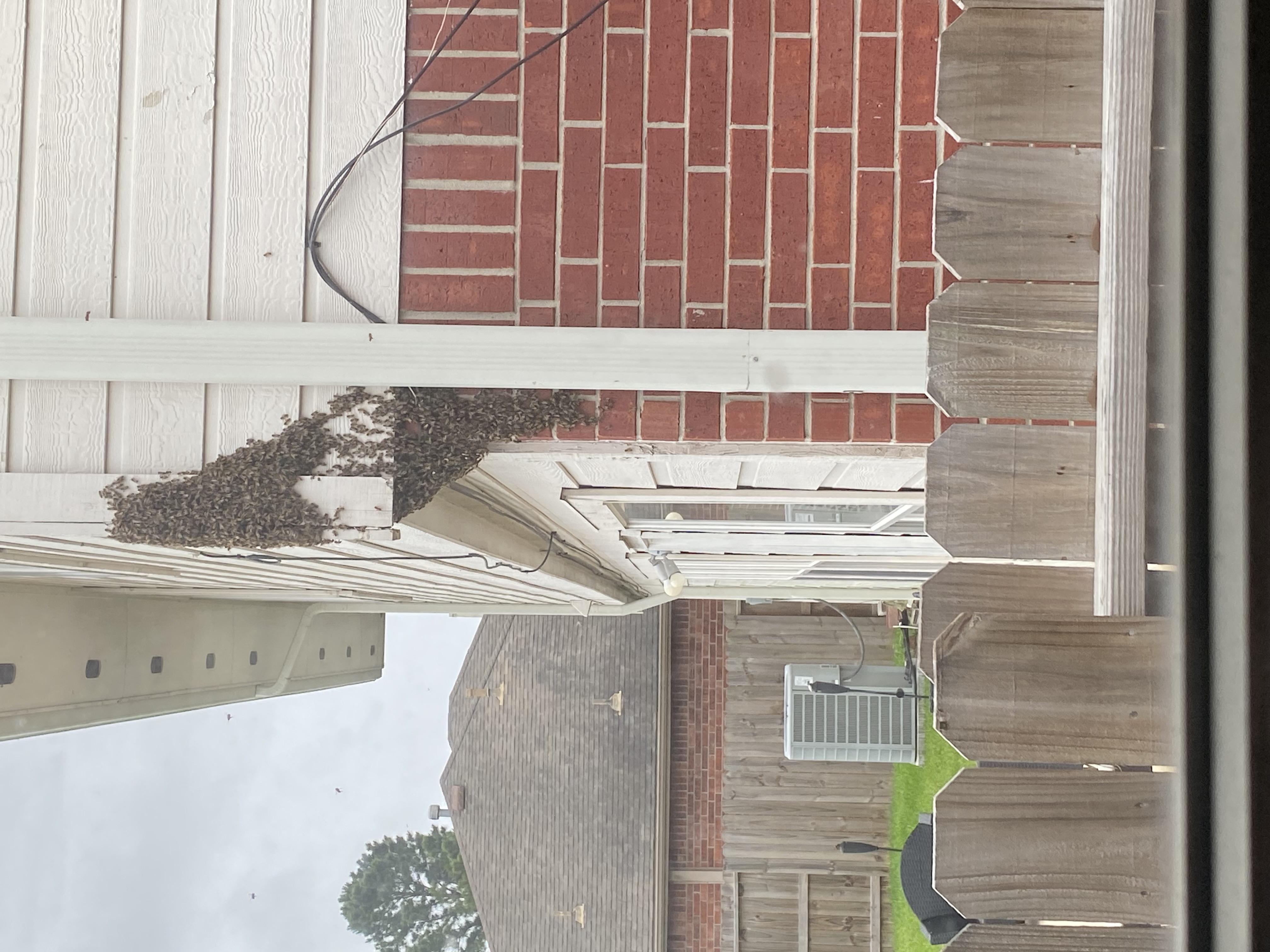 A Beekeeper's Guide to Swarm Collection in New Jersey